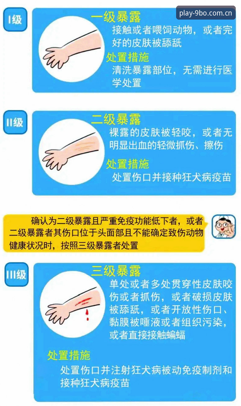 博官网常见问题 9博体育平台常见问题实用指南